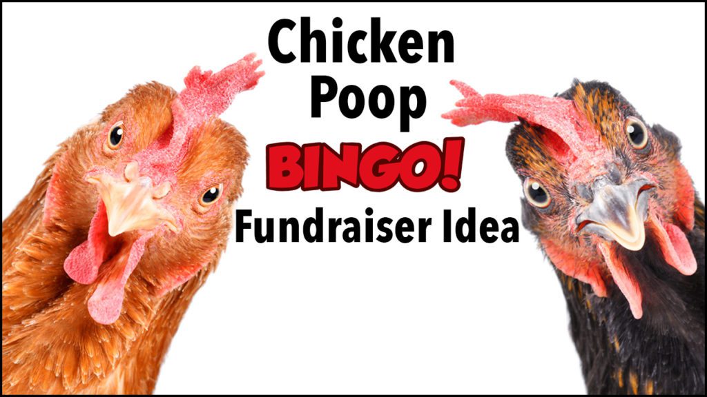 Fundraising Idea Chicken Poop Bingo
