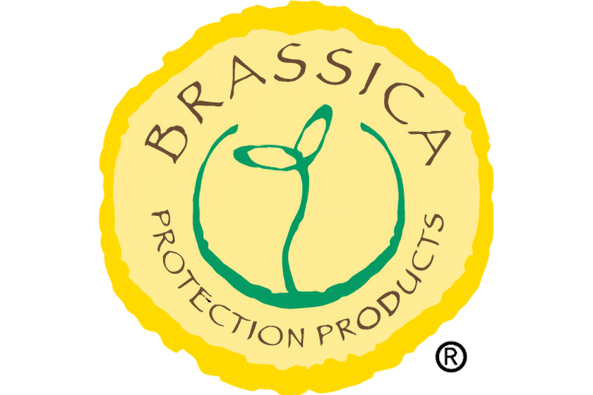 村上農園の高成分野菜｜村上農園 を知る