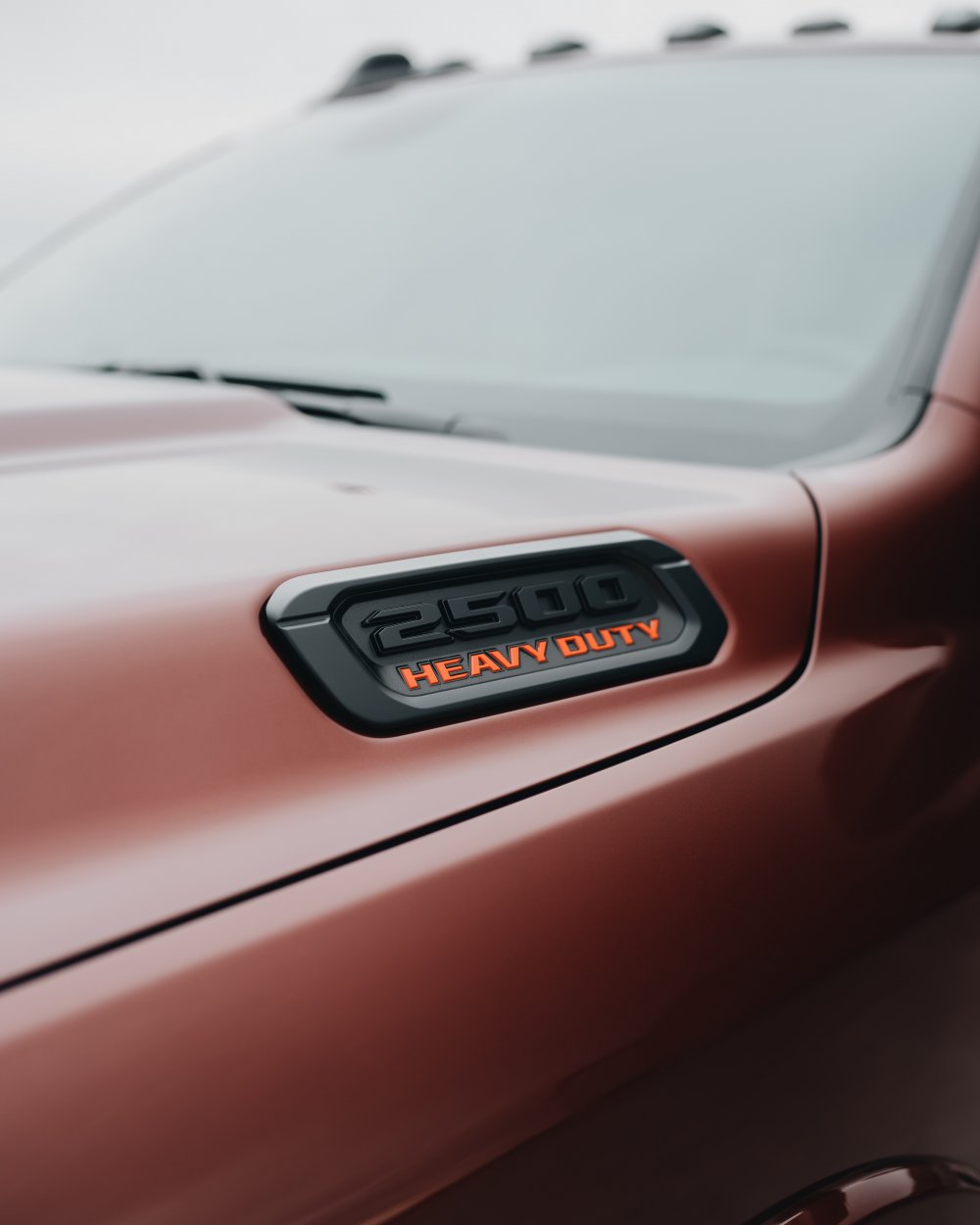 Letar ni efter en bra billackering i Staffanstorp? murbrackanskennel.se