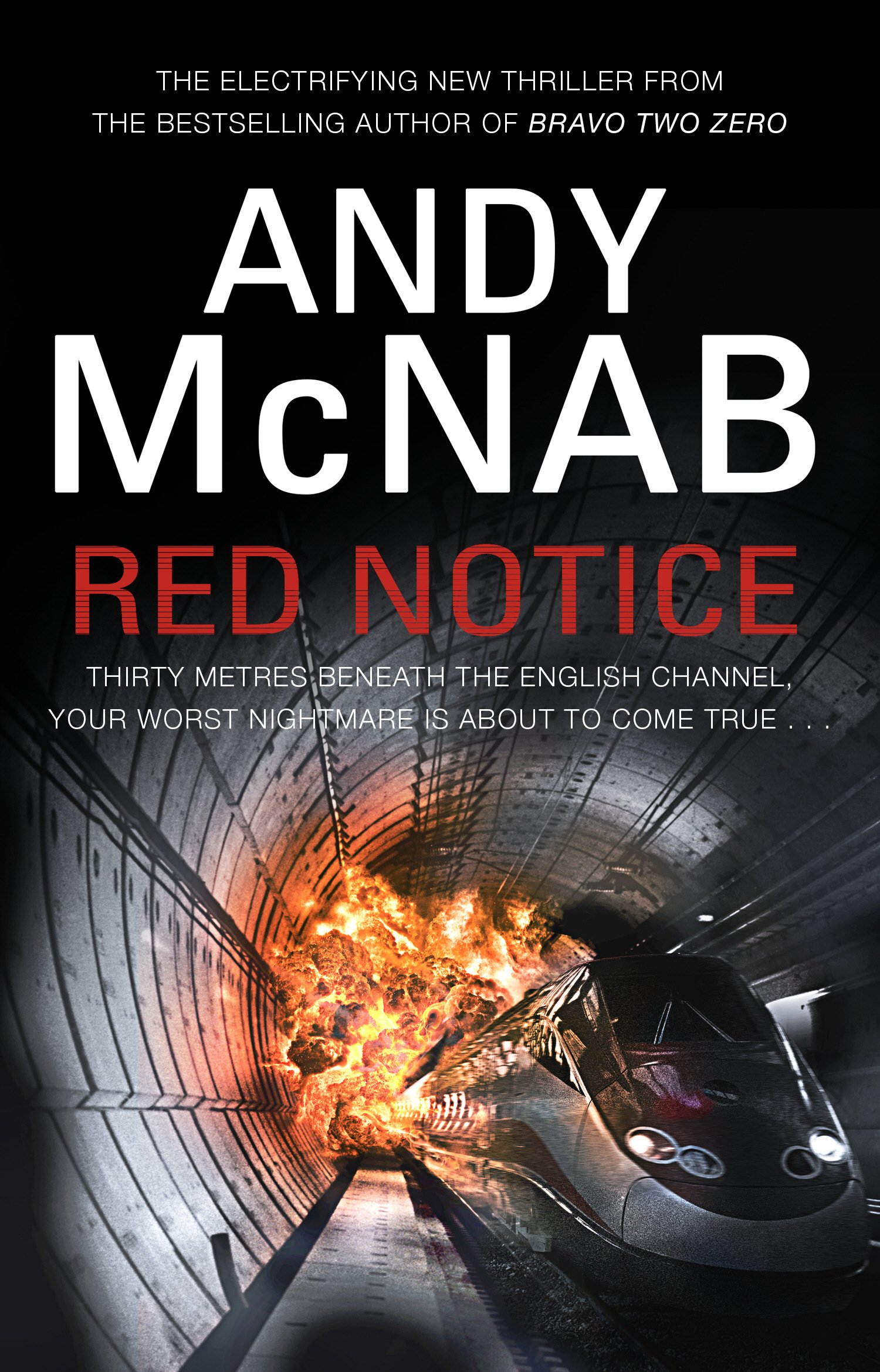 Andy McNab SAS Red Notice Murder in Common