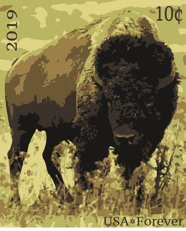 Buffalo Stamps Stephen Murphy