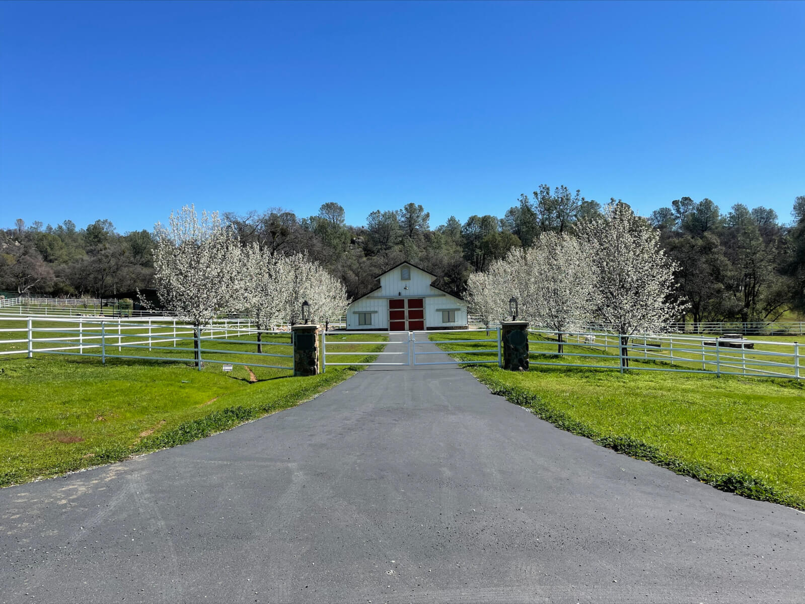 Home Murphy Family Ranch