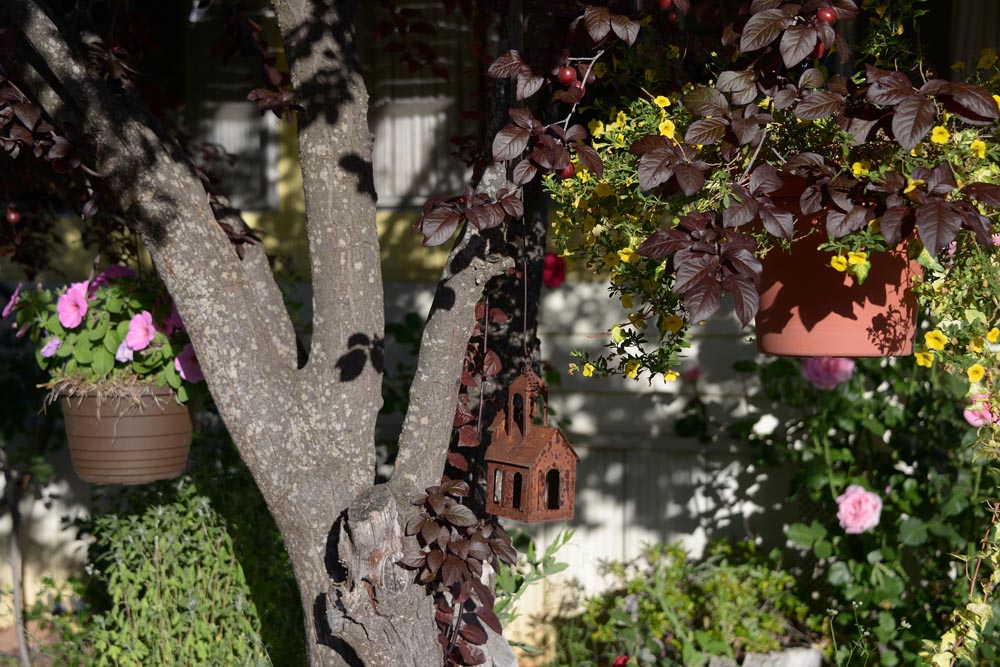 Park Amenities Murphys Diggins