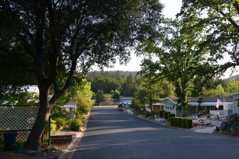 Park Amenities Murphys Diggins