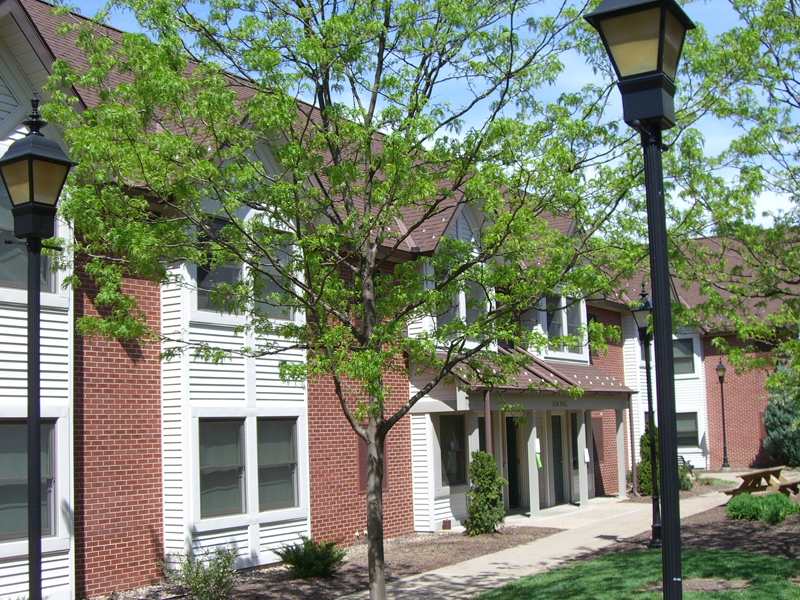 The Village Apartments Pennsylvania College of Technology Murray