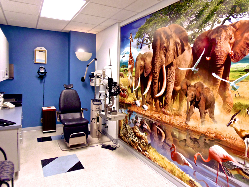 Ophthalmology Penn Medicine at Renee Green blog