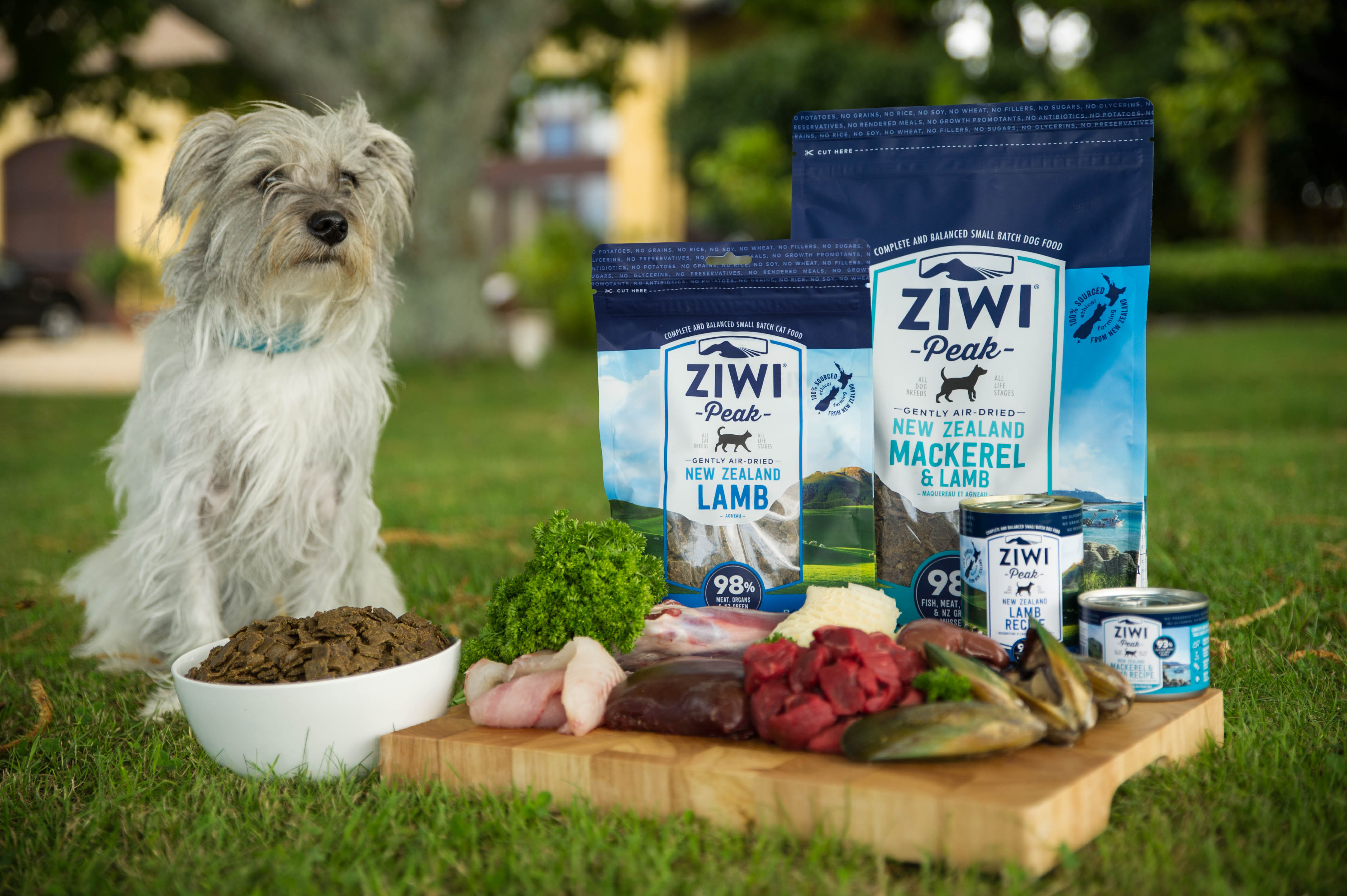 Acquisition of Ziwi by FountainVest Murray & Co