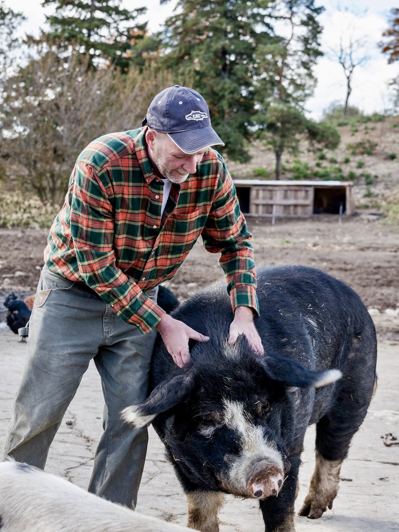 Murray's Farm Butcher Shoppe FarmerOwned Butcher Shop