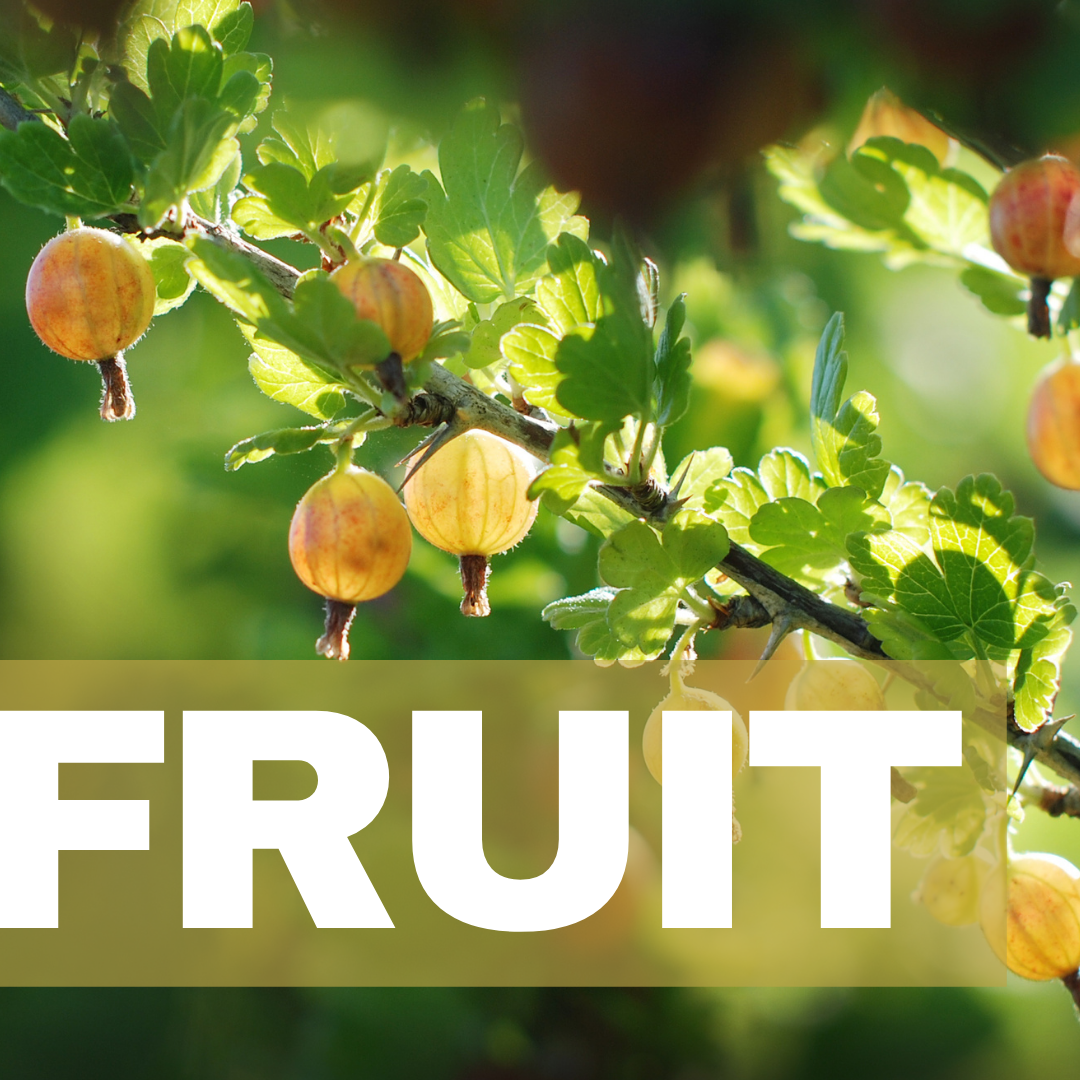 Murray’s Garden Centre Murray's Gardens