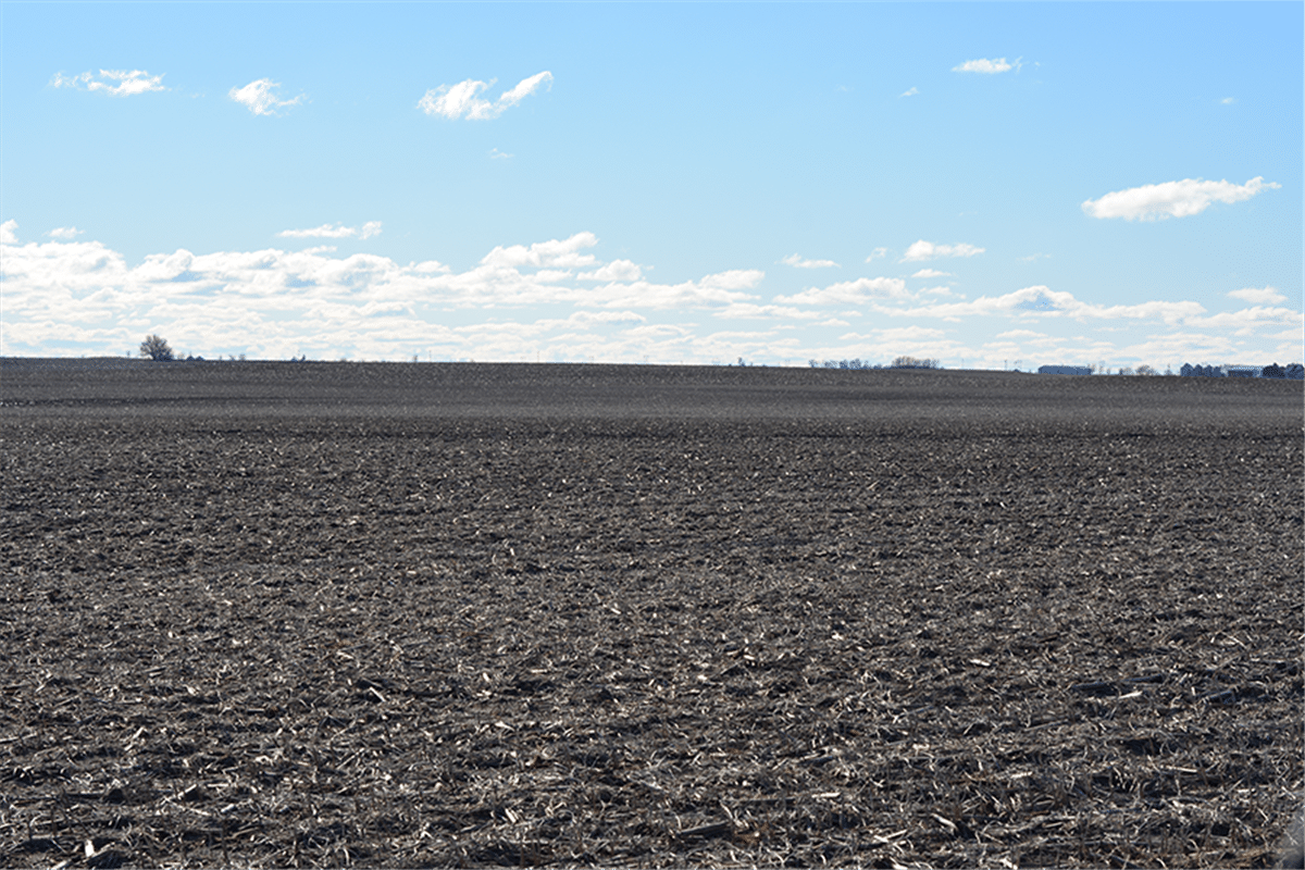 Champaign County, Illinois 160 Acres MWA Murray Wise Associates