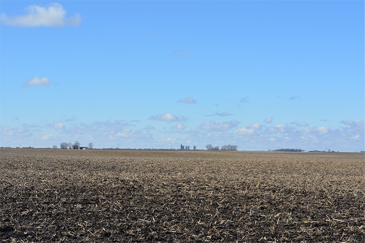 Champaign County, Illinois 160 Acres MWA Murray Wise Associates