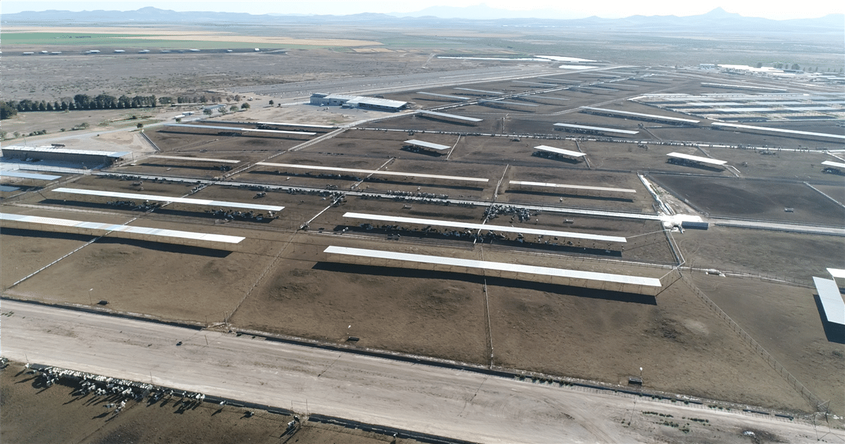 Las Uvas Valley Dairies, Farmland & Ranches Hatch, New Mexico MWA