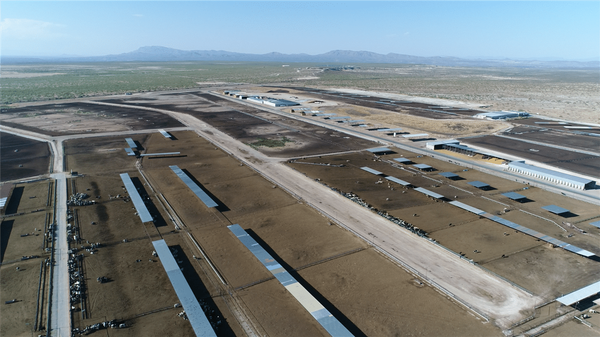 Las Uvas Valley Dairies, Farmland & Ranches Hatch, New Mexico MWA