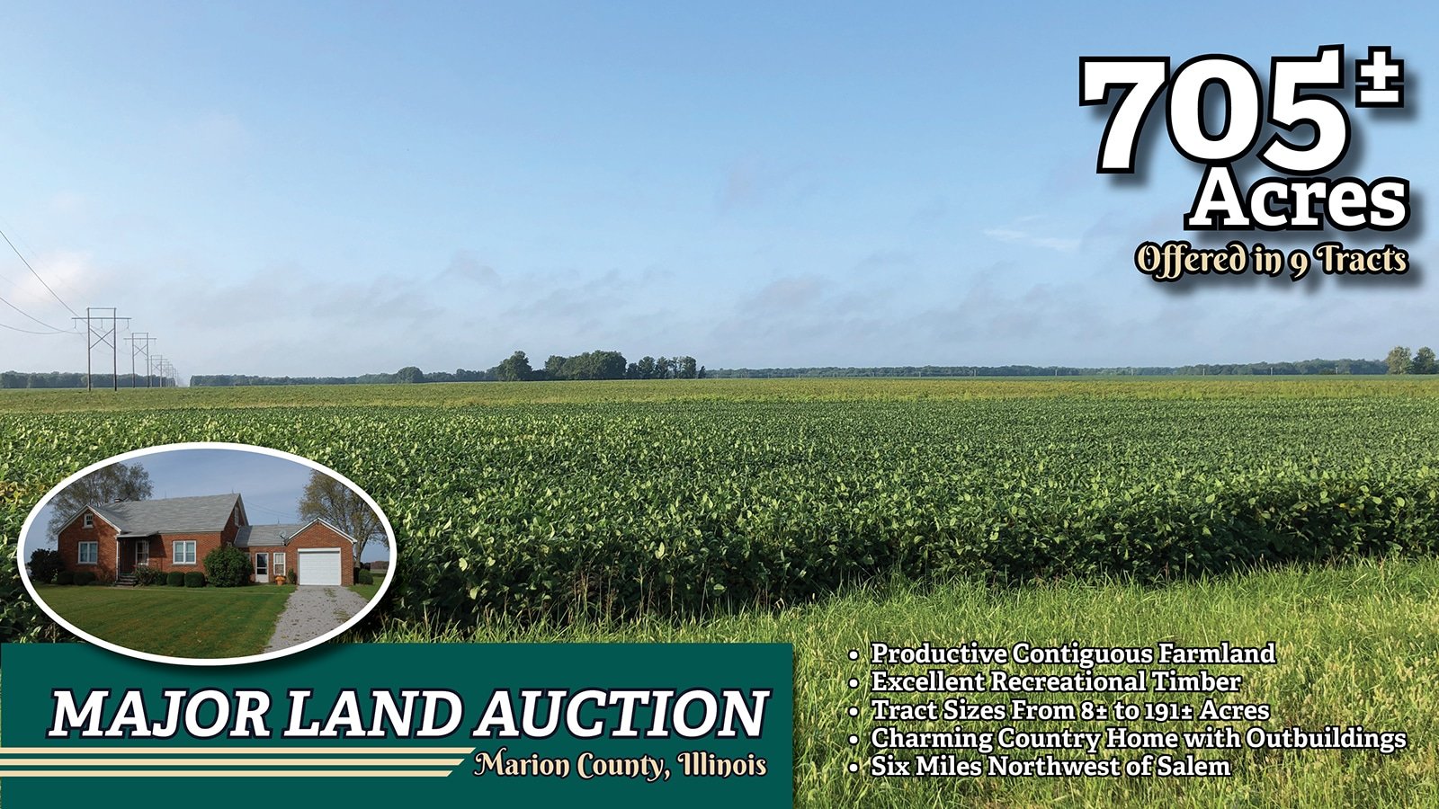 Marion County Illinois Court Records prntbl.concejomunicipaldechinu