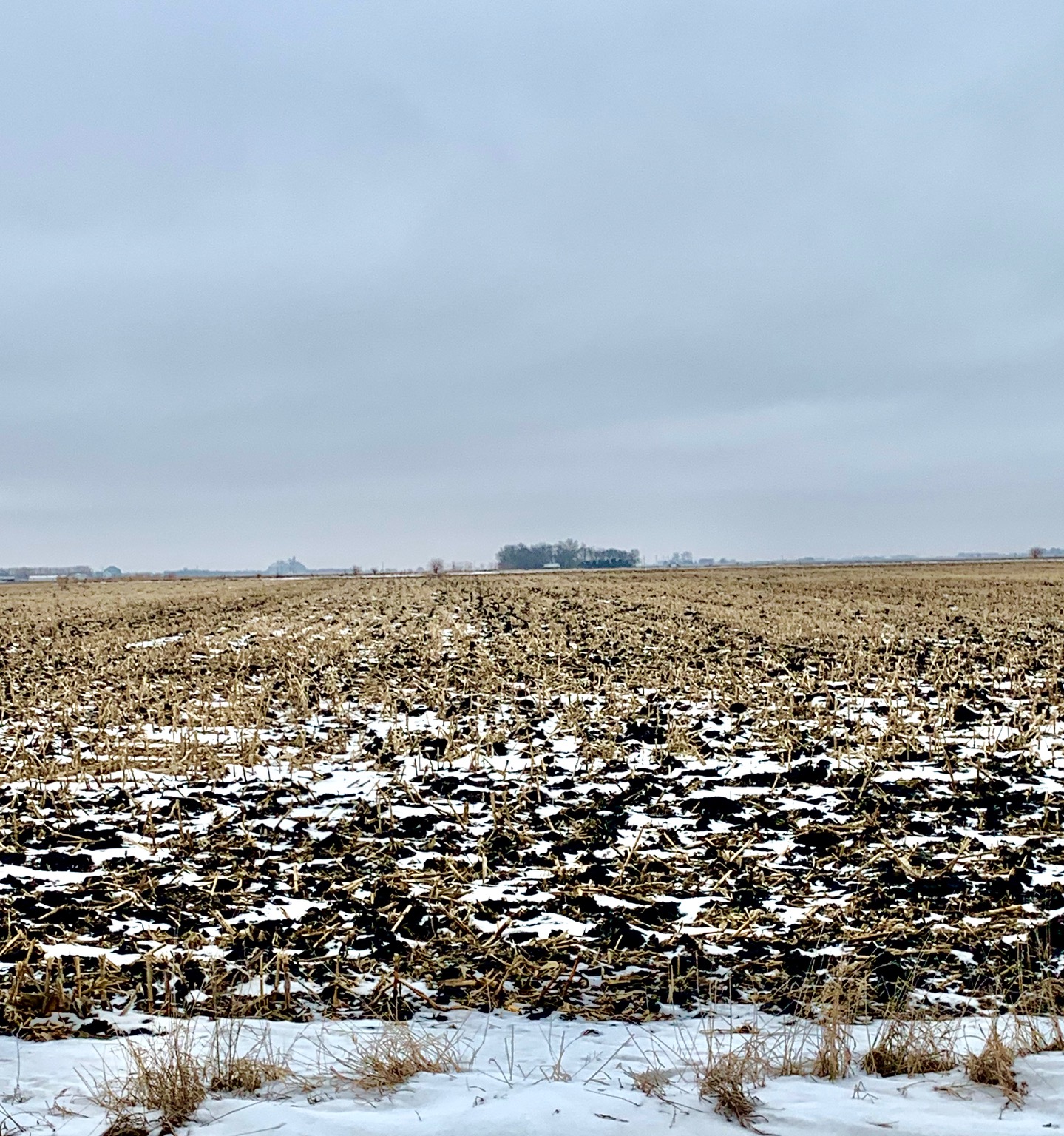 Wright County, IA 112 Acres MWA Murray Wise Associates