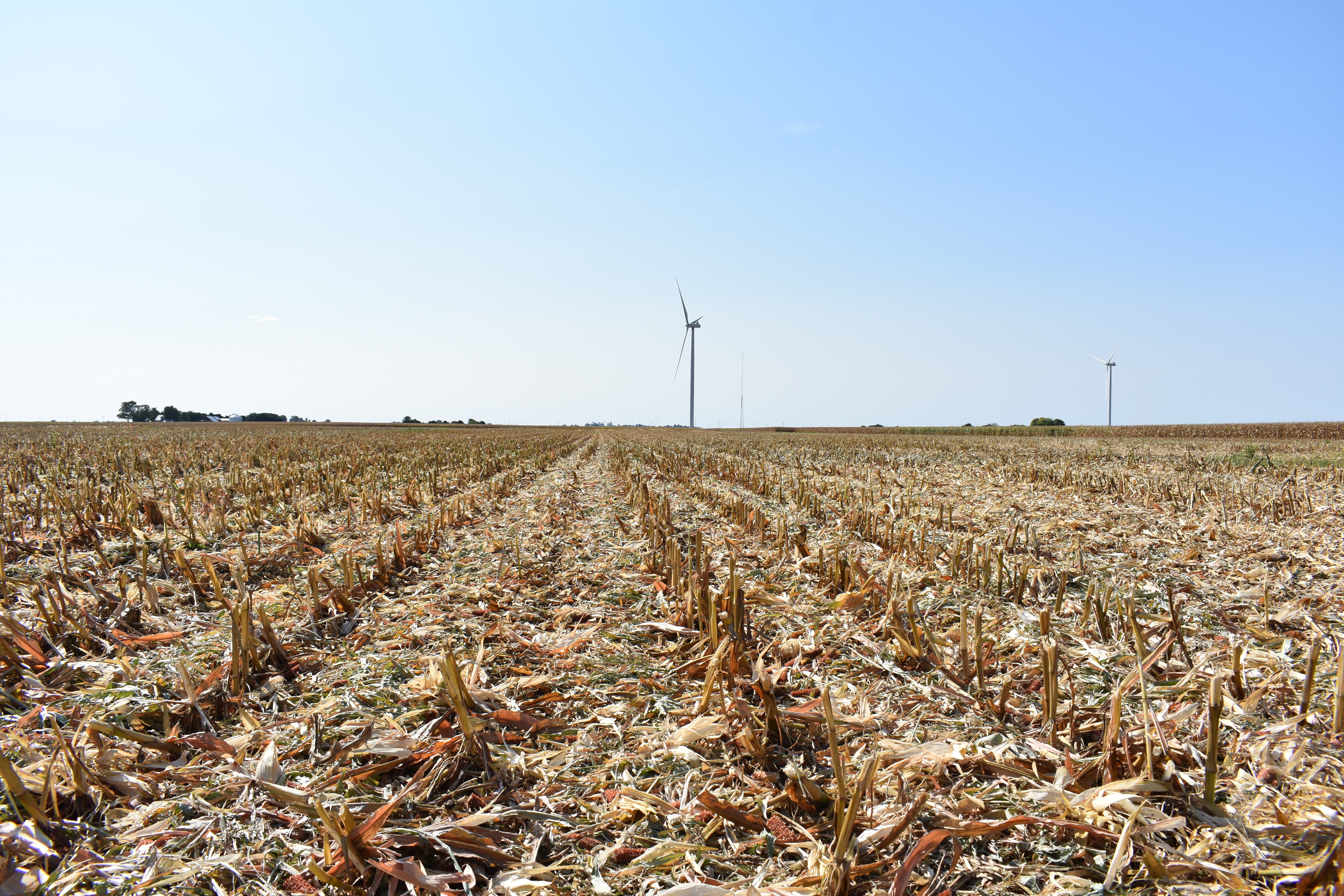 Macon County, IL 77± Acres MWA Murray Wise Associates