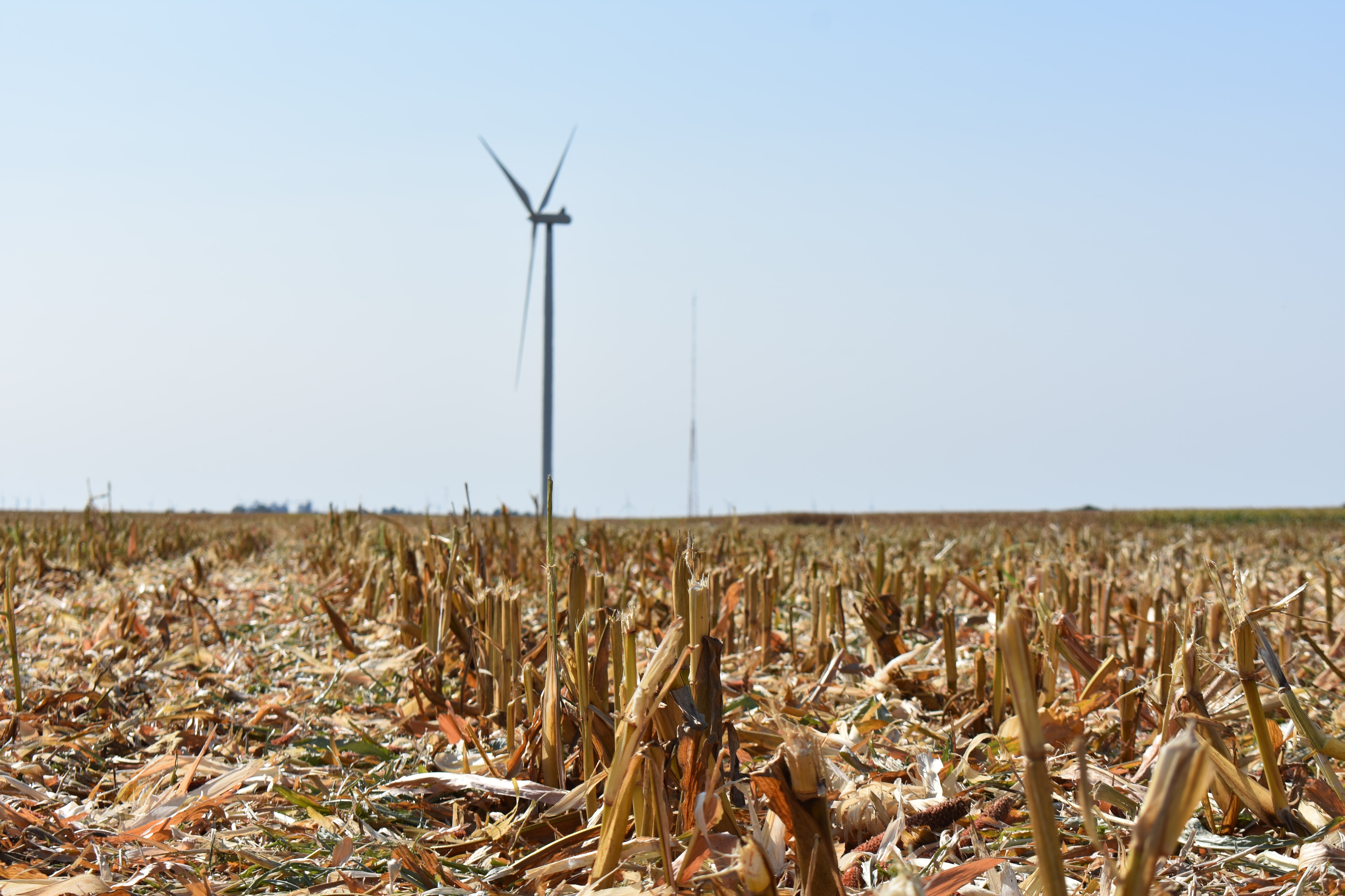 Macon County, IL 77± Acres MWA Murray Wise Associates
