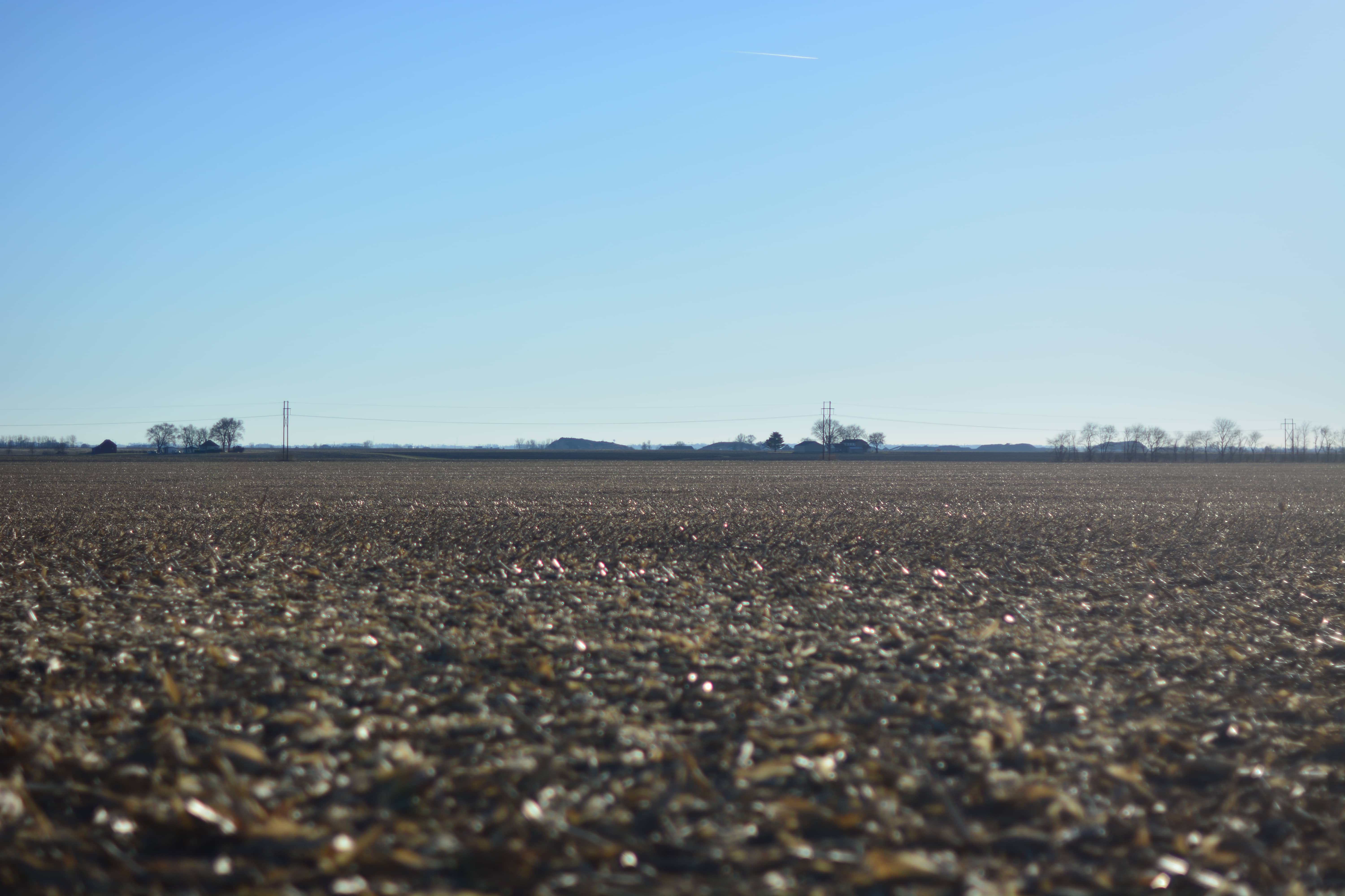 Douglas County, IL 198± Acres MWA Murray Wise Associates