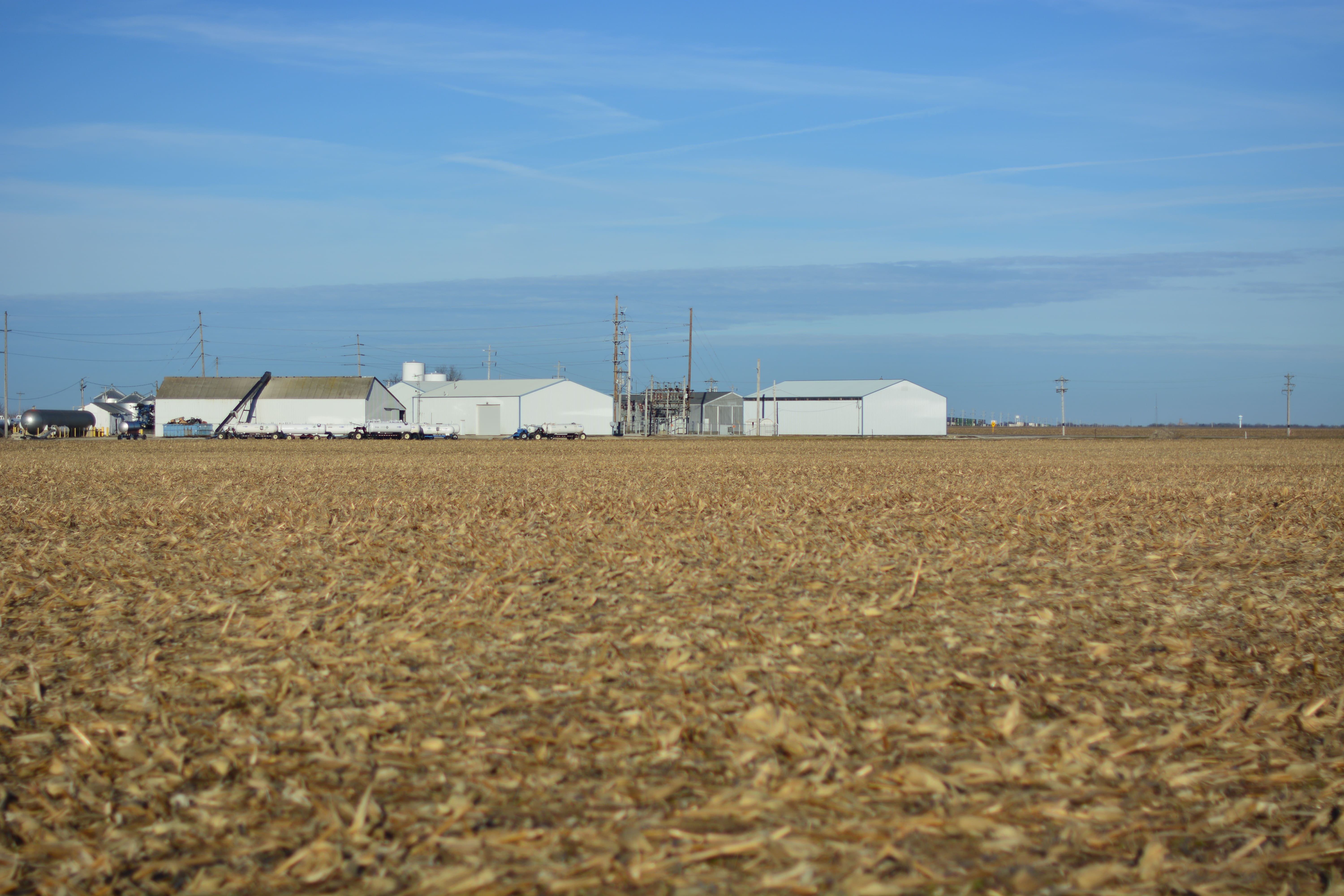 Douglas County, IL 198± Acres MWA Murray Wise Associates