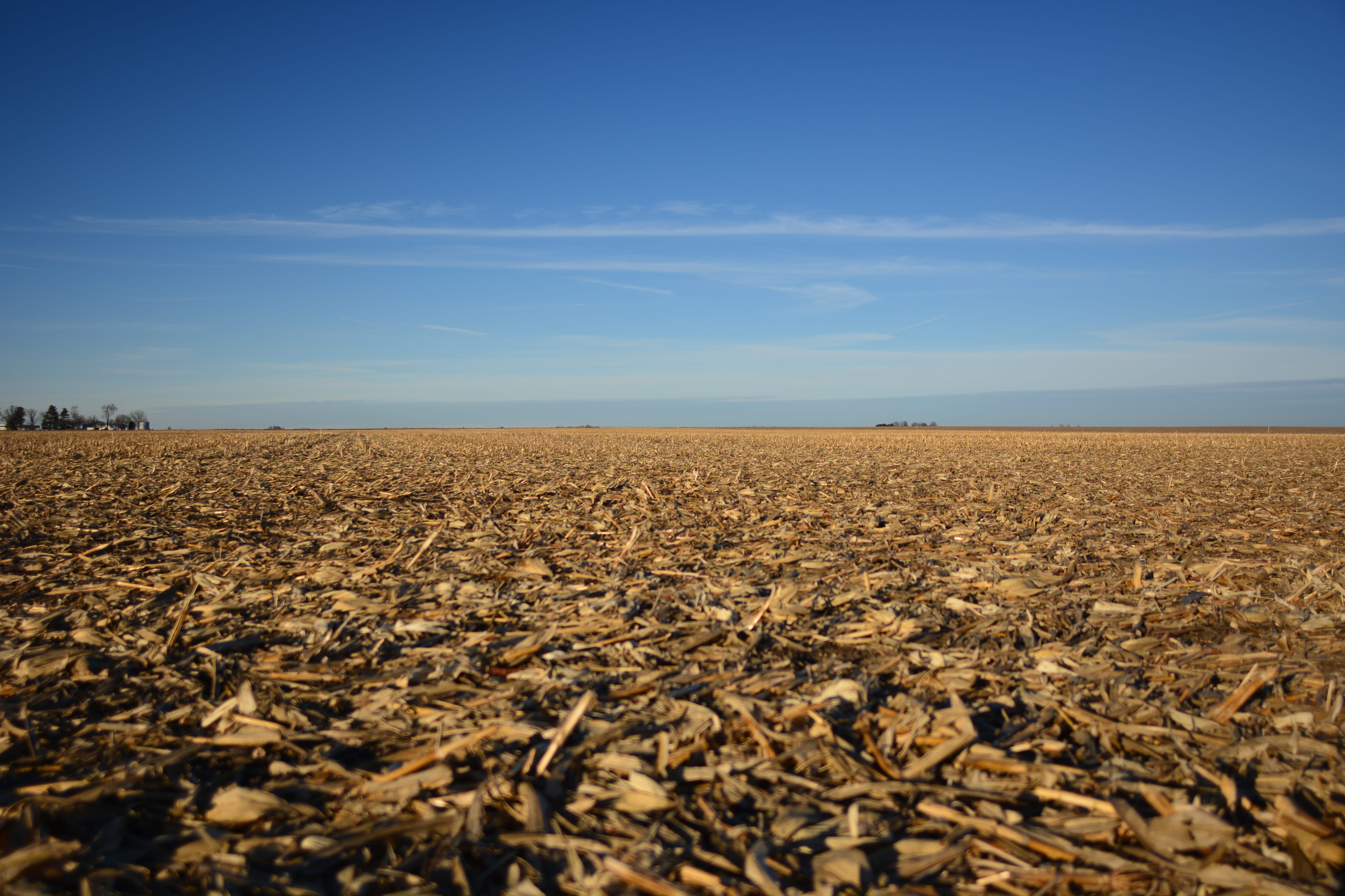 Douglas County, IL 198± Acres MWA Murray Wise Associates