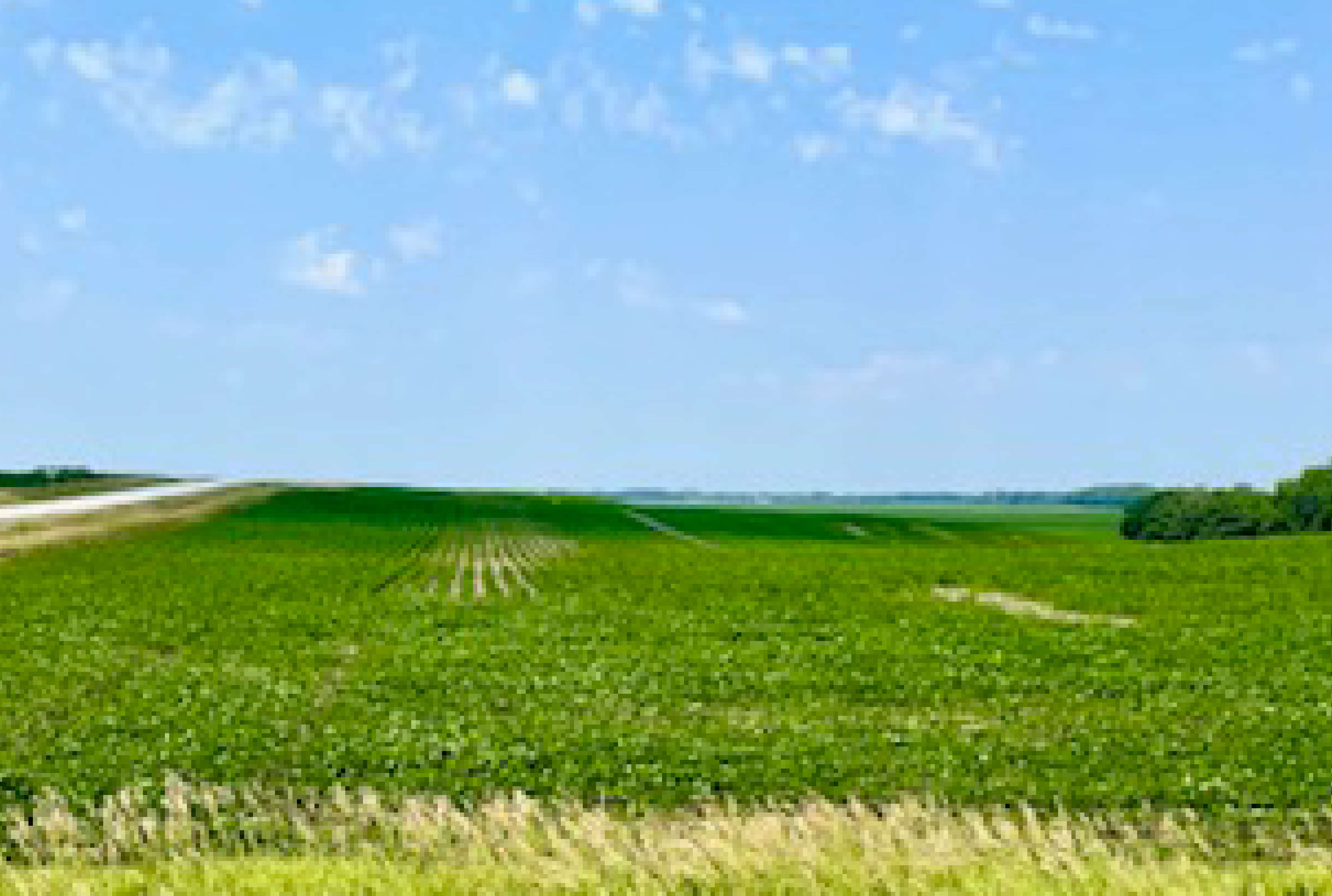 Humboldt County, IA 699± Acres MWA Murray Wise Associates