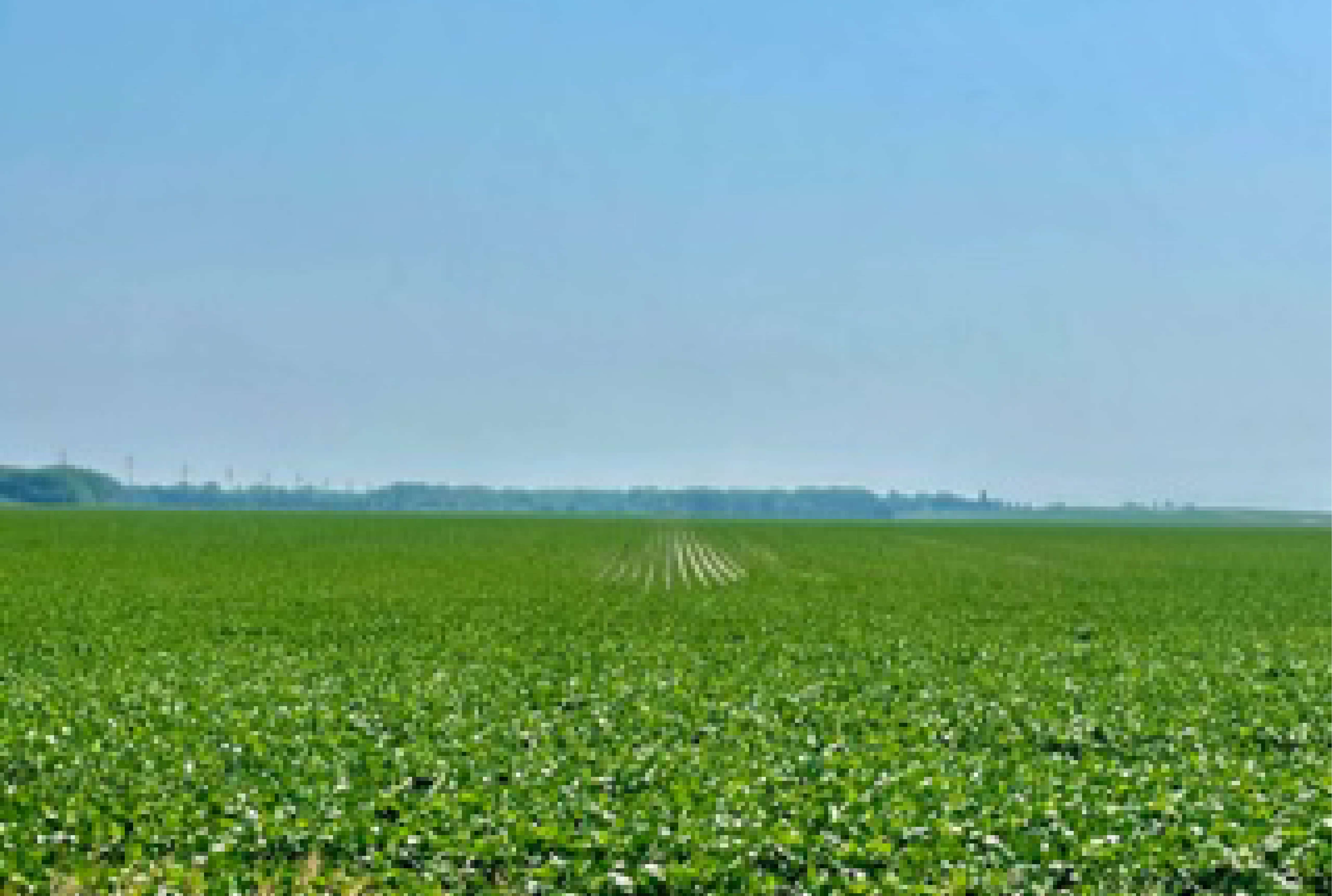 Humboldt County, IA 699± Acres MWA Murray Wise Associates