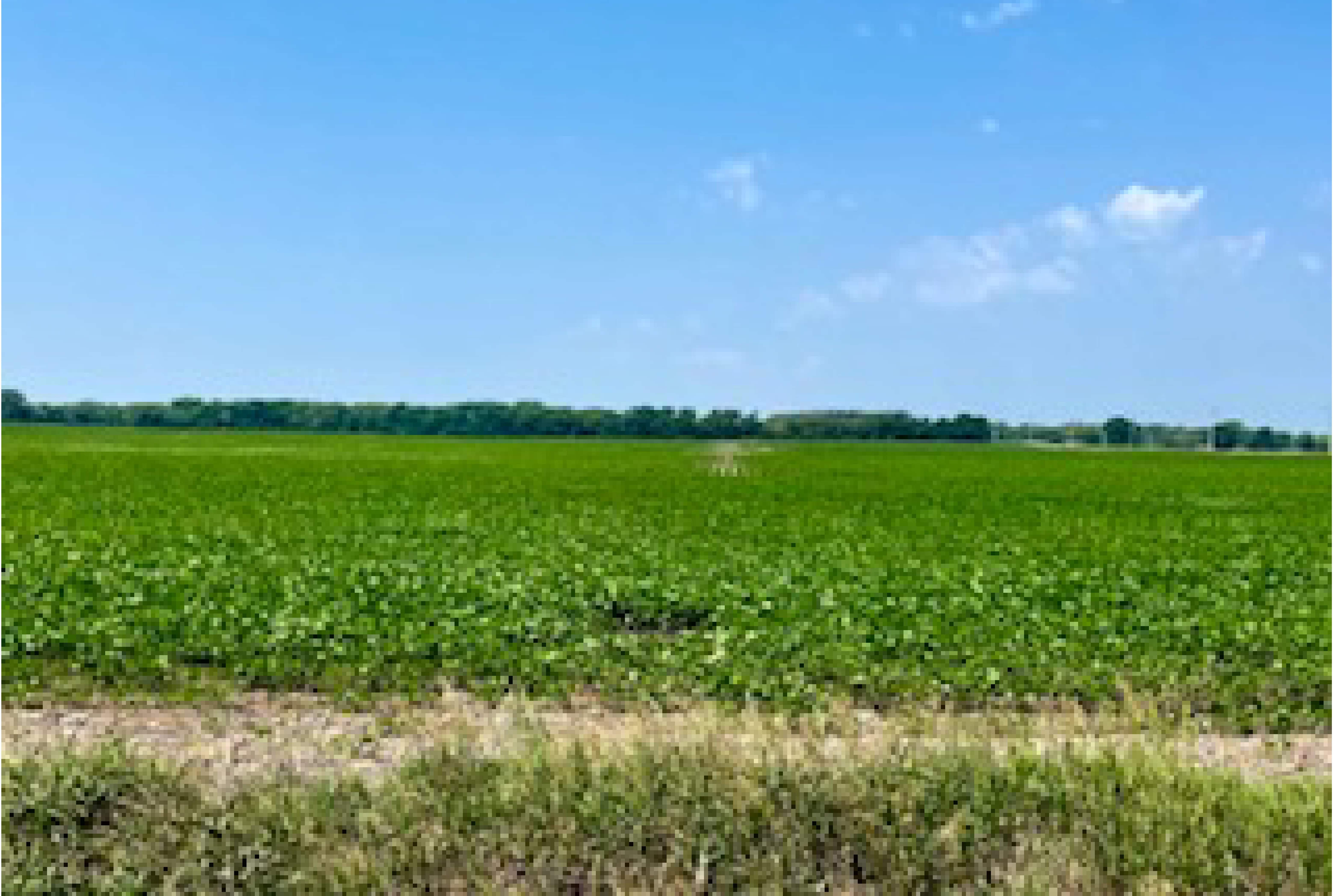 Humboldt County, IA 699± Acres MWA Murray Wise Associates