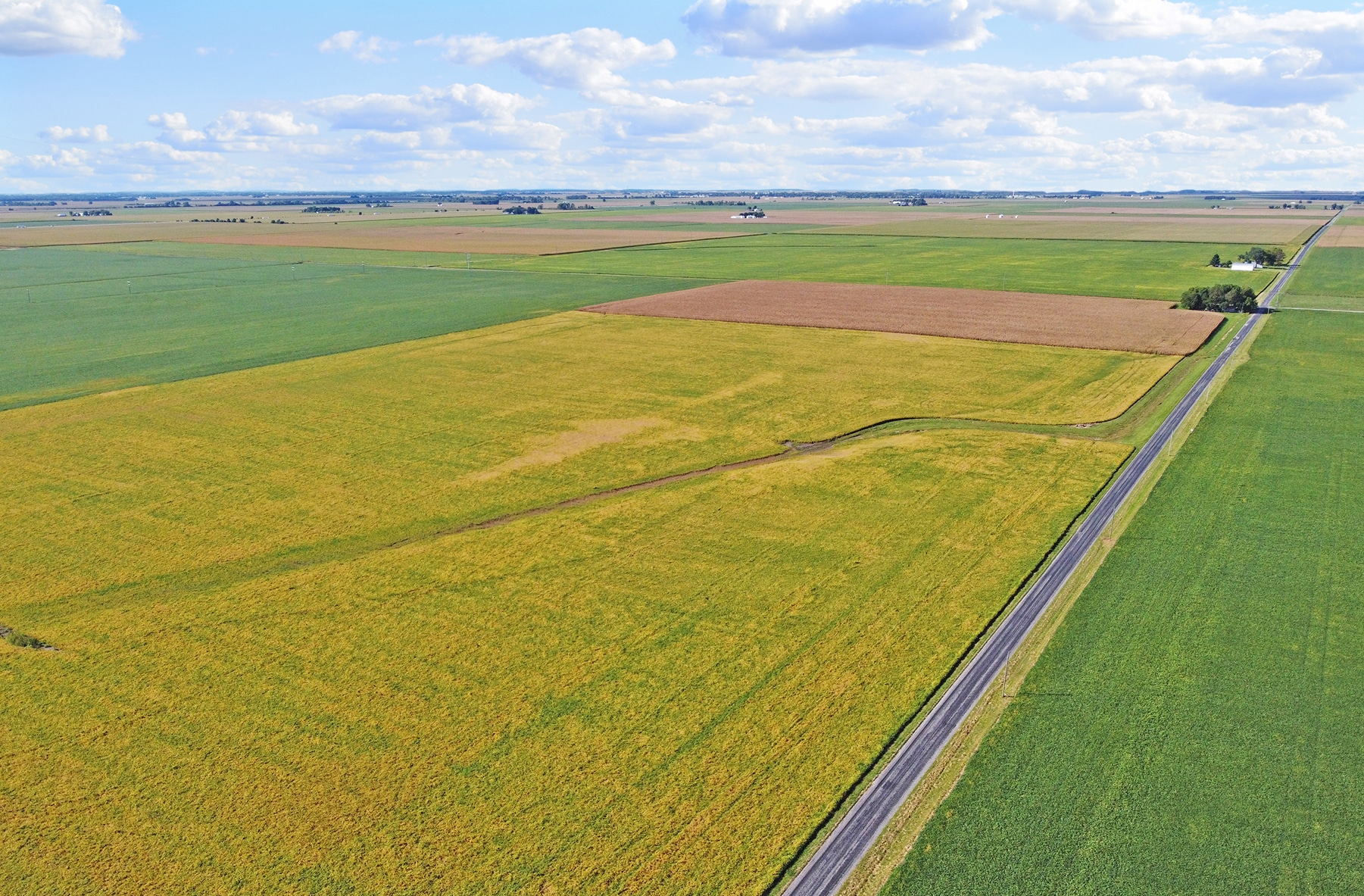 Coles County, IL 53± Acres MWA Murray Wise Associates