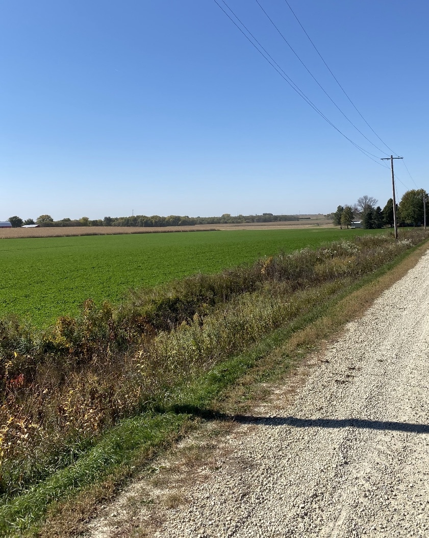 Bremer County, IA 81± Acres MWA Murray Wise Associates