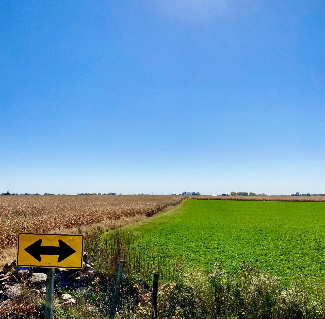 Bremer County, IA 81± Acres MWA Murray Wise Associates