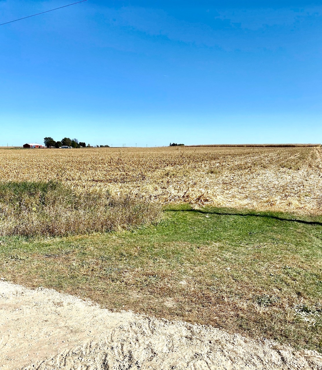 Bremer County, IA 81± Acres MWA Murray Wise Associates