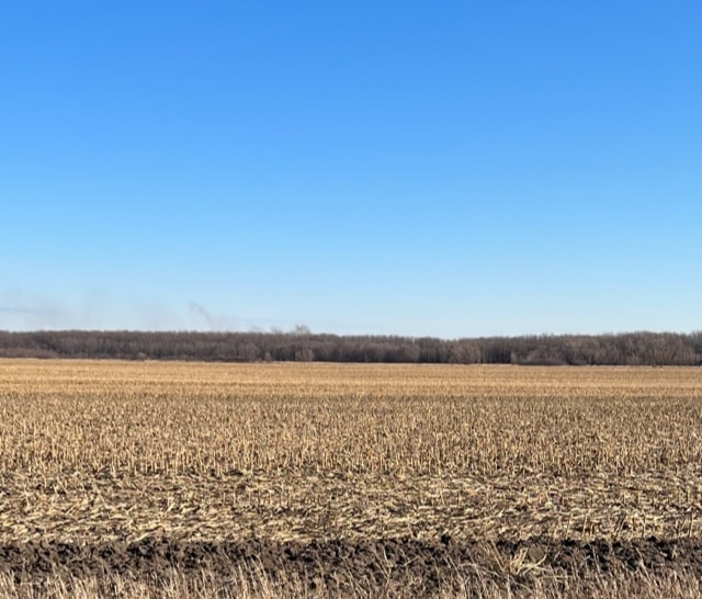Wright County, IA 122± Acres (Under Contract) MWA Murray Wise