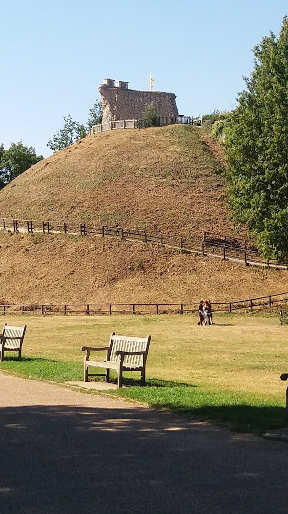 Wars of the Roses Delights in Suffolk murreyandblue