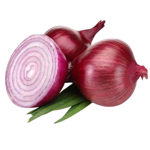 Onions Musafarm