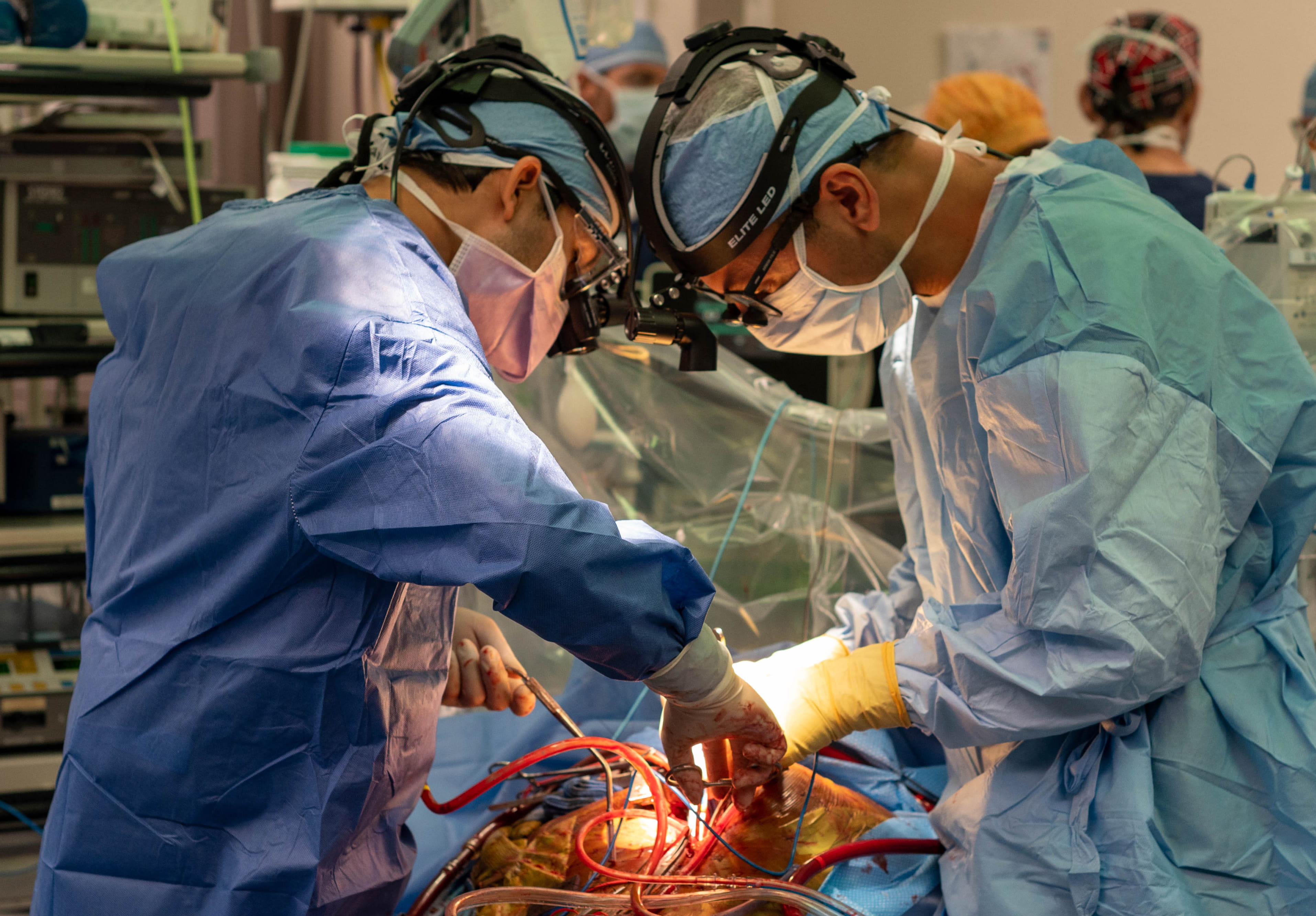 MUSC Surgeons Perform First DCD Heart Transplant in South Carolina
