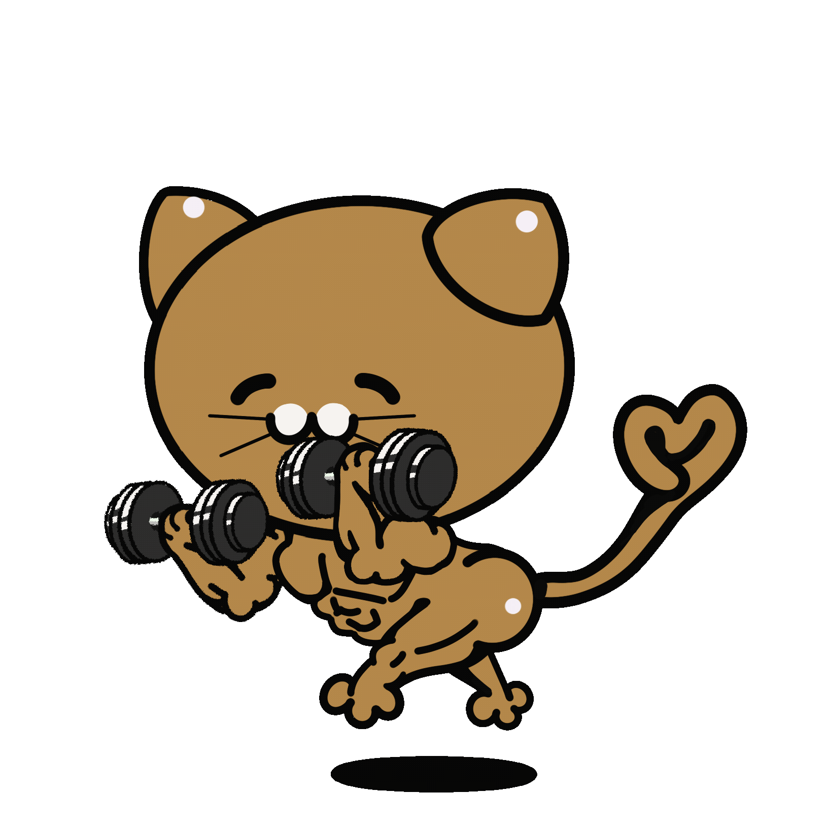 マッスルキャットオフィシャル 筋肉猫と私