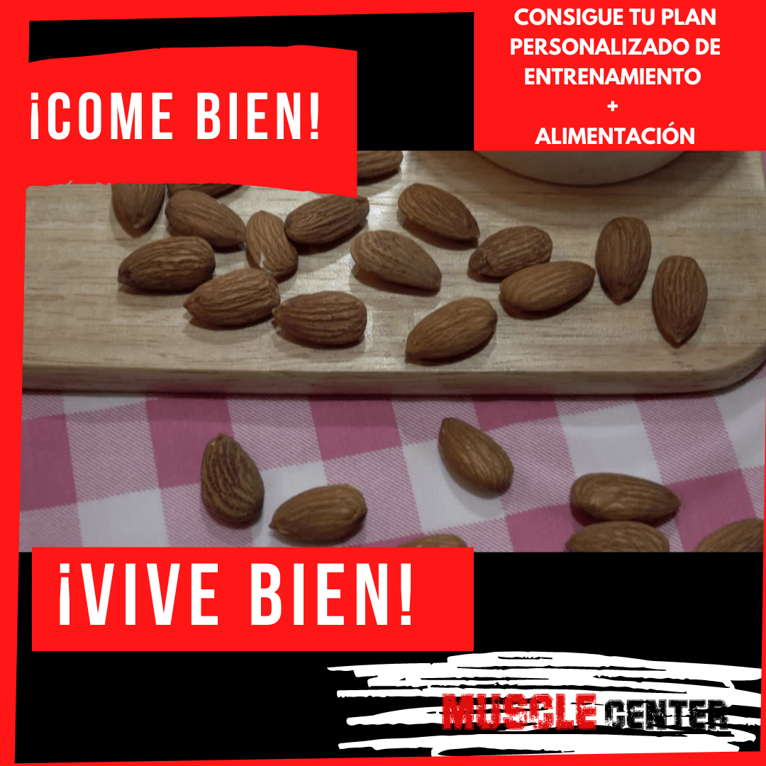 Muscle Center Gimnasio en Zaragoza