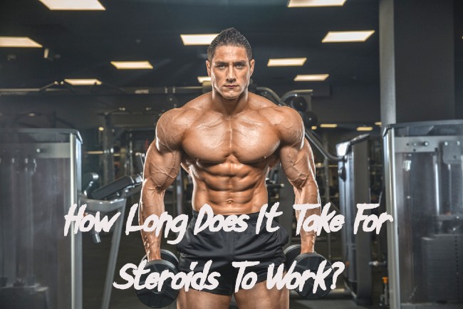 How Long Does It Take For Steroids To Work?