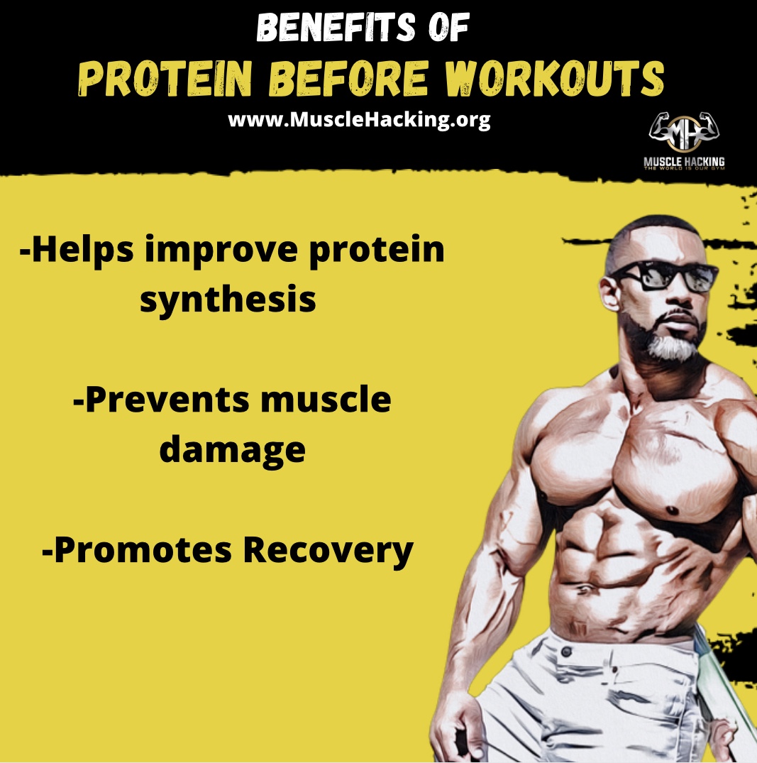 Protein Before Workouts