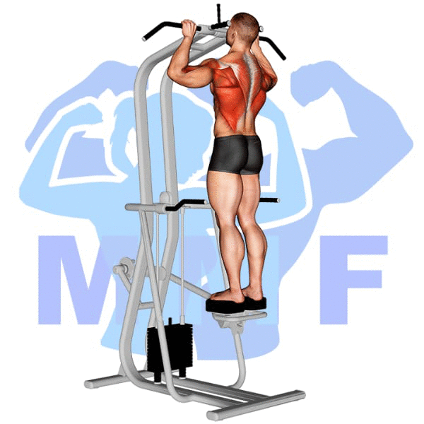 Assisted Pull Up Your Complete HowTo Tutorial