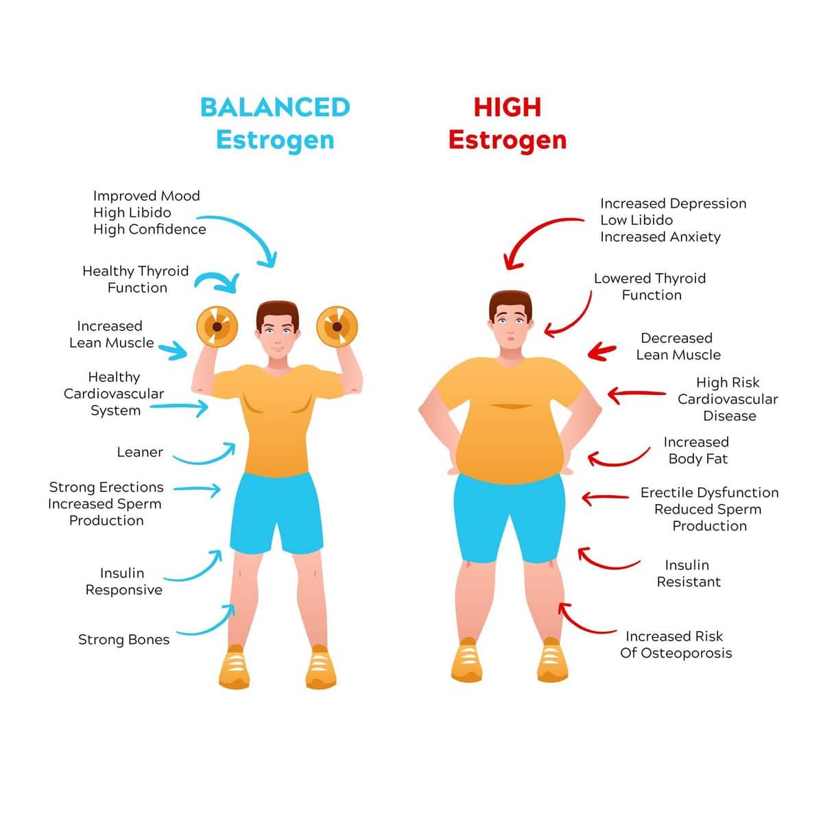 Estro Switch Switch Nutrition Muscle Maker Supplements