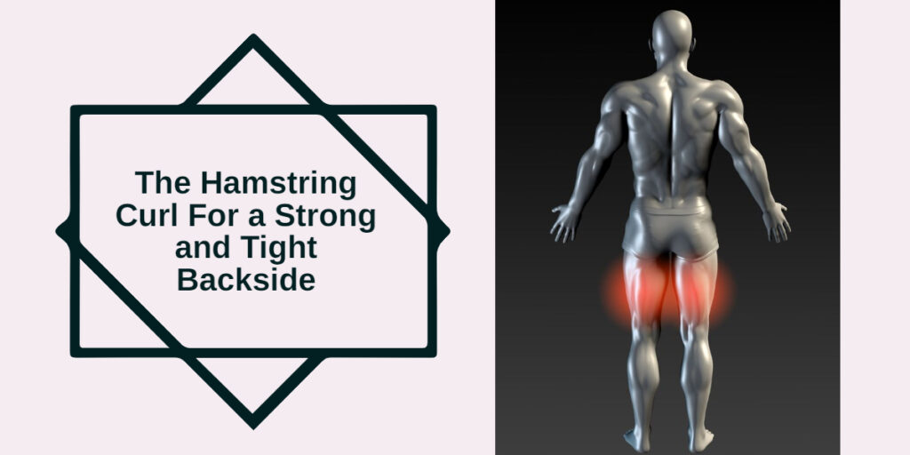 The Hamstring Curl For a Strong and Tight Backside Muscleopolis
