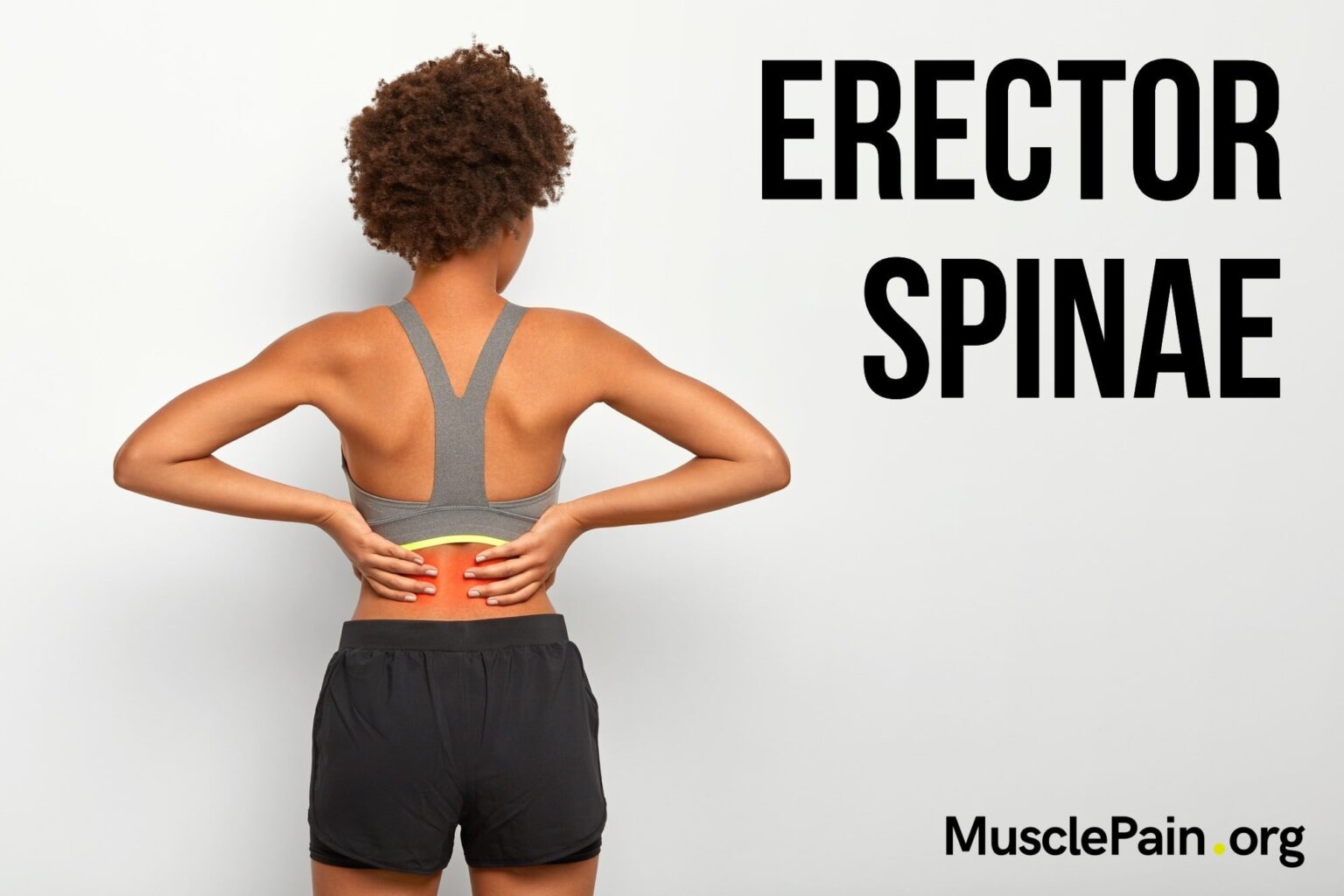 Erector Spinae Trigger Points Muscle Pain