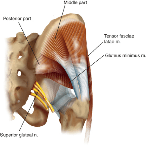 Hip Arthroscopy—Disorders of the Trochanteric Space—Bursitis and
