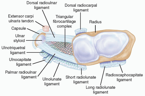 Extraarticular Reconstructive Techniques for the Distal Radioulnar and