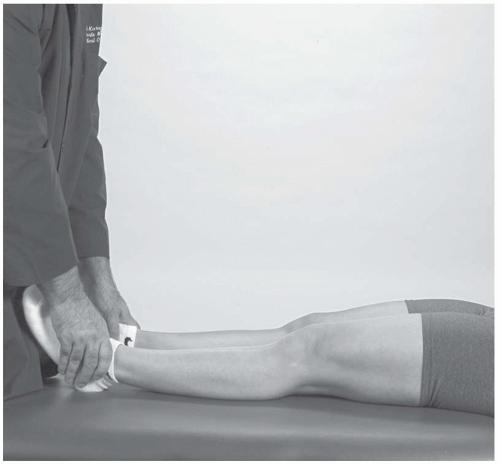 Lumbosacral Spine Musculoskeletal Key