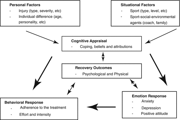 Emotion Diagram Cognitive Appraisal Theory Of Stress Cognitive