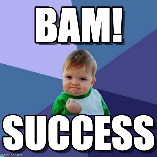 Success Kid MUSEUdeMEMES