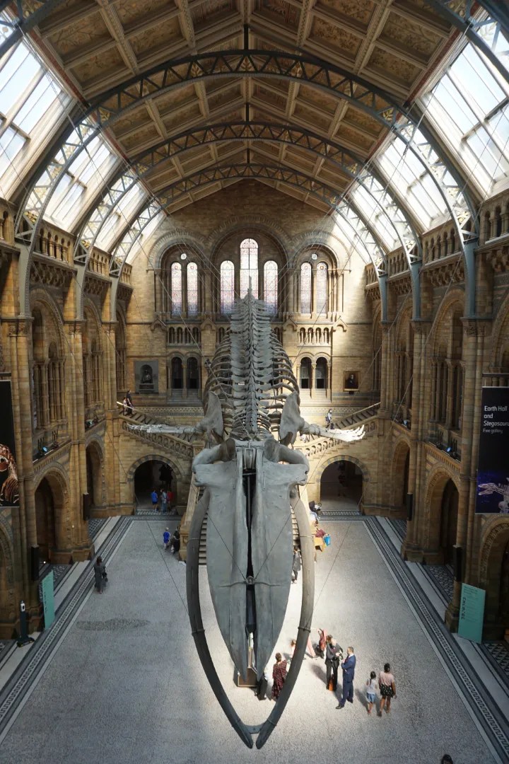 The amount you pay for general admission only is up to you. Visiting Natural History Museum London with kids Museum Mum