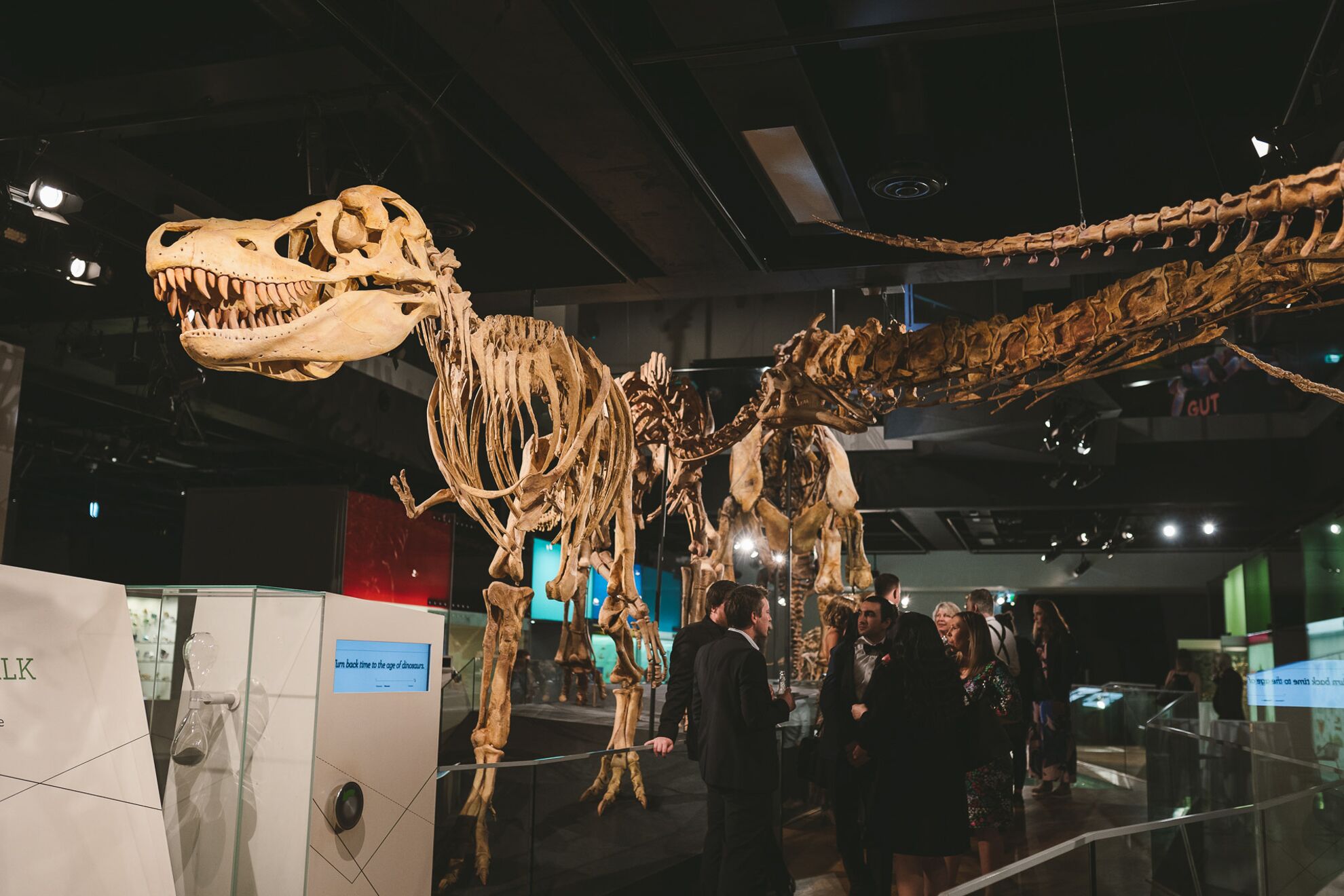 Venue hire and functions Melbourne Museum Museums Victoria